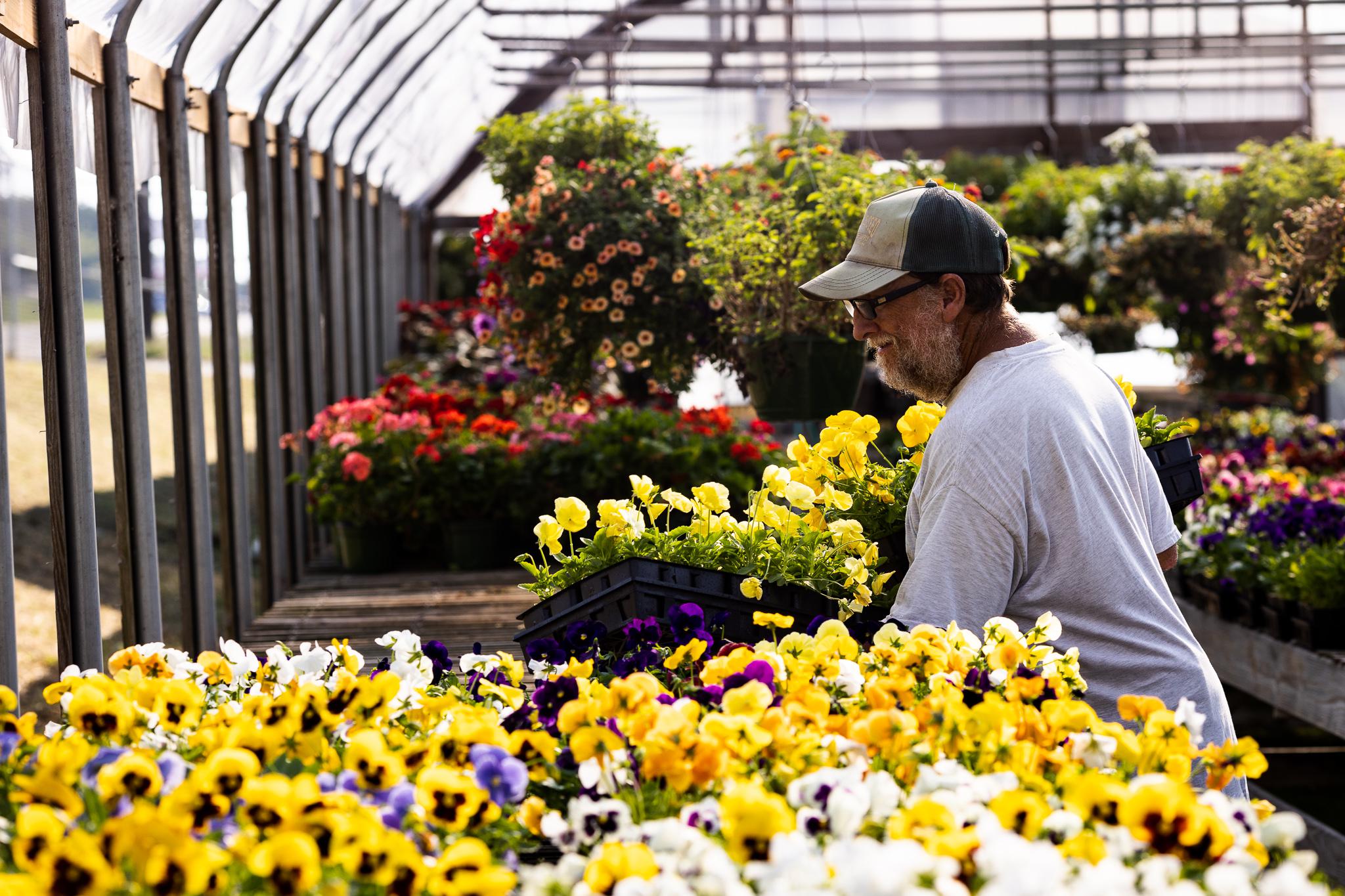 Greenhouse Garden And Landscaping Supplies Knoxville Seed And 